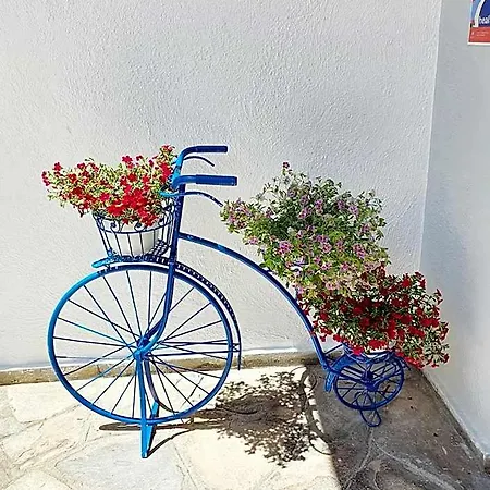 Casa Di Estella 3*